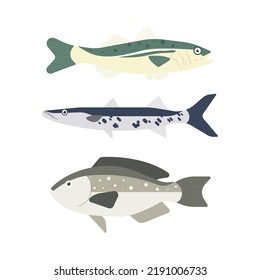 Set of river fish. Fish isolated on white background. Vector illustration.