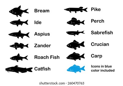 Set of River and Limnetic Fishes in black and blue color on white background, Vector Illustrations