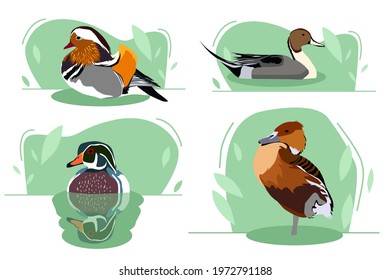 set of river multi-colored ducks