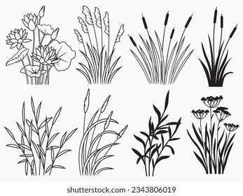 Set of river plants. Collection of lake floewrs reeds, water lily, seamless grass elements. Botany. Nature landscape. Vector illustration on white background.