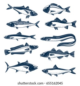 Set of river or sea fish. Salmon and tuna, mackerel and trout, bass, perch and dorado, eel and cod, sardine, herring, sprat isolated blue silhouette for fish market, seafood and fishing theme design