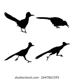 set of Roadrunner Bird black silhouettes illustration on whtie background vol 02