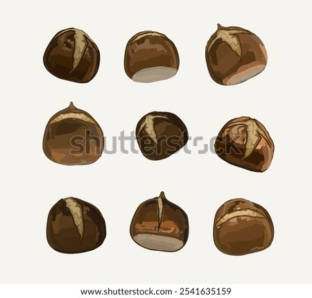 set of roasted chestnut fall delicous food realistic vector illustration on white background