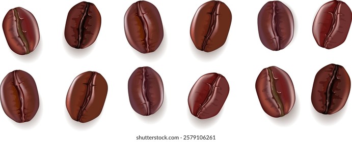 Set of Roasted coffee beans with cartoon style. vector illustation