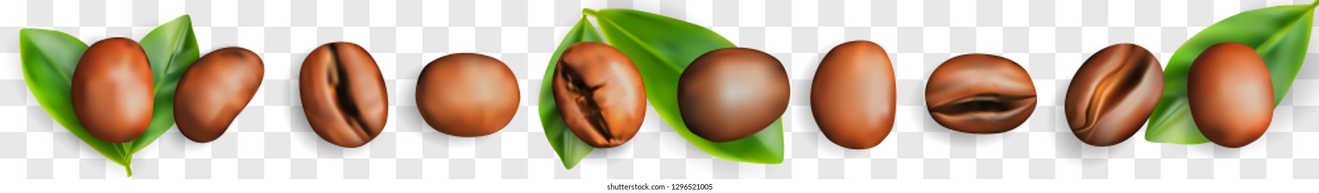 Set of Roasted Coffee Beans with Fresh Coffee Leaves. Realistic vector 3D illustration of Arabica or Robusta Grains Collection