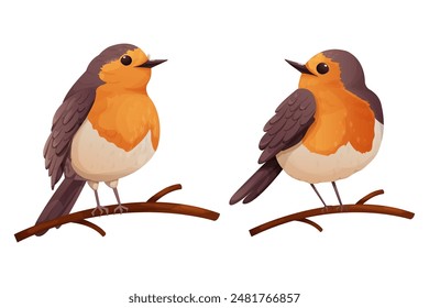 Set Robin bird cute little bird character on branch in cartoon style isolated on white background. 