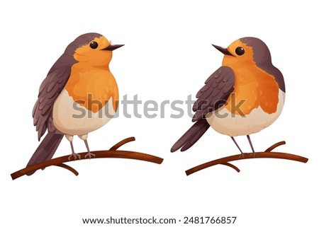 Set Robin bird cute little bird character on branch in cartoon style isolated on white background. 