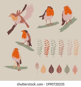 Conjunto de aves Robin, ramas botánicas e ilustraciones de hojas, elementos de diseño vectorial y clipart.