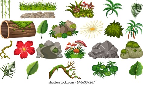 Set of rocks and leaves illustration