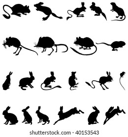 Set of Rodents  Silhouettes in Different Poses. High Detail, Very Smooth. Vector Illustration. 