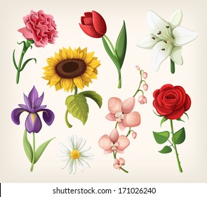 Set of romantic summer flowers