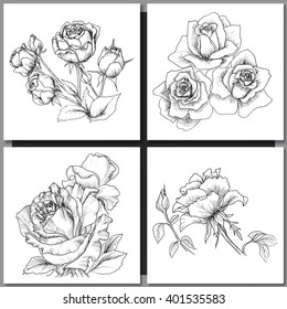 Set of Romantic vector background with hand drawn flowers isolated on white.  Ink drawing illustration. Line art sketching. Floral design for wedding invitations, cards, congratulations, branding.