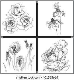 Set of Romantic vector background with hand drawn flowers isolated on white.  Ink drawing illustration. Line art sketching. Floral design for wedding invitations, cards, congratulations, branding.