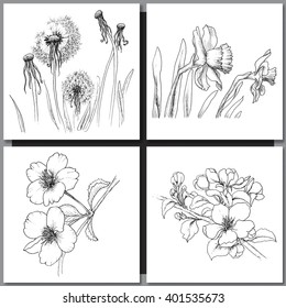 Set of Romantic vector background with hand drawn flowers isolated on white.  Ink drawing illustration. Line art sketching. Floral design for wedding invitations, cards, congratulations, branding.