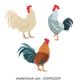 Conjunto de pájaros gallos en diferentes poses y colores aislados en fondo blanco. Iconos de aves de gallos brillantes. Ilustración vectorial o caricatura.