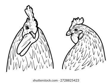 Set of rooster and chicken faces. Sketch vector hand drawn. Birds. Animal. Cock, hen. Beak, comb, feathers. Bird farm. Poultry meat, eggs. Black and white illustration. Engraved graphic art.