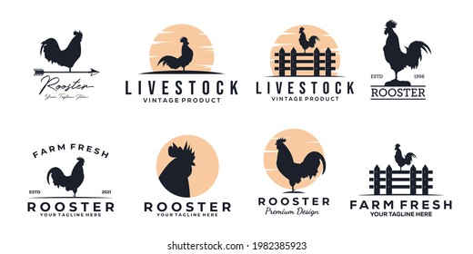 set of rooster chicken logo vintage vector illustration design, rooster logo design