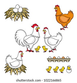 Set of rooster, hen, baby chicken and eggs, hand-drawn, sketch style vector illustration isolated on white background. Set of rooster, hatching and standing hen, new-born baby chicken and eggs