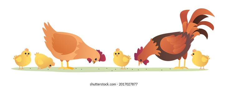 Set of rooster hen and chicks eating illustration