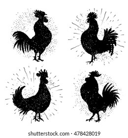 Set Of Rooster Labels. Vintage Style Cock Illustration On Hand Drawing Sunburst Background Or Sun Ray Frame In Vintage Hipster Style Collection. Ink Brush Painting Imitation With Splashes.