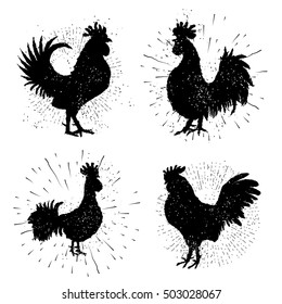 Set Of Rooster Labels. Vintage Style Cock Illustration On Hand Drawing Sunburst Background Or Sun Ray Frame In Vintage Hipster Style Collection. Ink Brush Painting Imitation With Splashes.