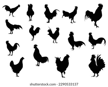 Set of Rooster Silhouette collection vector illustration.Rooster logo. Color black and white. Tribal image of a rooster.Black silhouettes isolated on white background.vector illustration