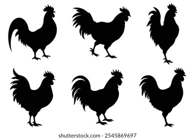 Set of Rooster Silhouette Vectors. Isolated  on White Background.