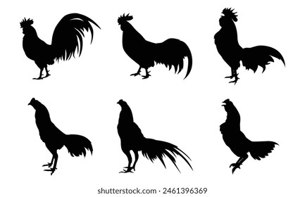 Conjunto de siluetas de gallo aislado fondo blanco