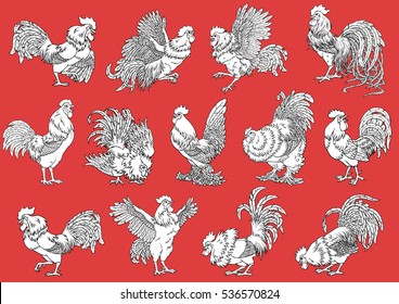 Set roosters coloring on orange background. Decorative chicken monochrome. Coloring page. A symbol of the Chinese new year 2017 according to east calendar.