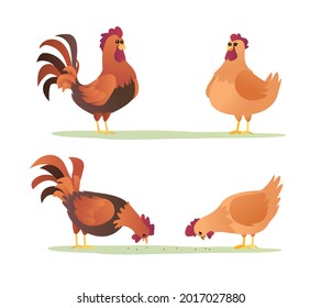 Set of roosters and hens cartoon. Chicken characters in different poses vector illustration