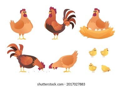 Set of roosters hens and chicks cartoon. Chicken characters in different poses vector illustration