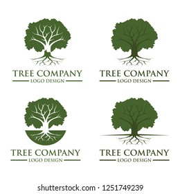 Set Root Of The Tree logo illustration. Vector silhouette of a tree