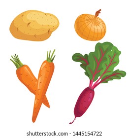 Set of root vegetables. Potato, onion, carrots group and beet with greens. Cartoon simple design vector illustrations. Fresh farm veggies isolated on white background.