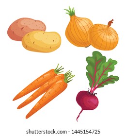 Set of root vegetables. Potato, onion, carrot groups and beet with greens. Cartoon simple design vector illustrations. Fresh farm veggies isolated on white background.