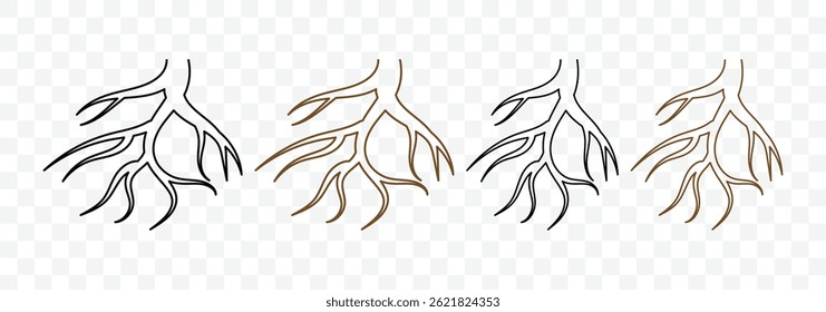 Set of roots icon. Various brown tree or shrub roots. Plant root system. Realistic black roots illustration. Tree root silhouette set. Vector illustration. 