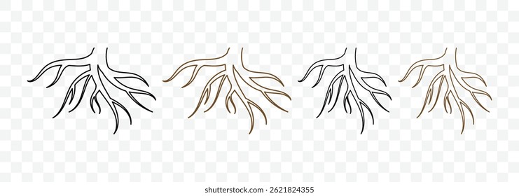Set of roots icon. Various brown tree or shrub roots. Plant root system. Realistic black roots illustration. Tree root silhouette set. Vector illustration. 