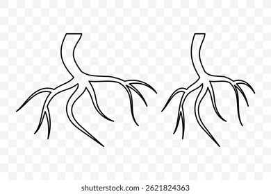Set of roots icon. Various brown tree or shrub roots. Plant root system. Realistic black roots illustration. Tree root silhouette set. Vector illustration. 