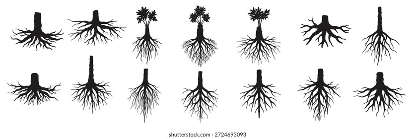 set of roots of trees vector illustration