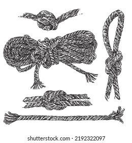 Set of ropes and knots. Sketch. Engraving style. Vector illustration.