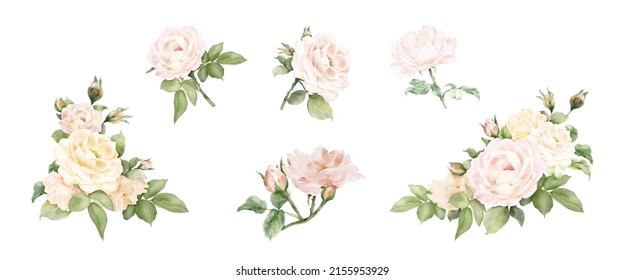 Set of rose bouquet decorative watercolor. Vector arrangements for wedding concept, greeting card or invitation design with collection of rose flowers and leaves.