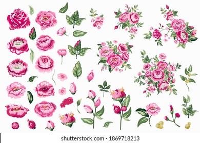 Set of Rose buds and leaves. Vector illustration isolated on white background. For the design of weddings, shawls, fabrics, Mothers Day, Valentine's Day, covers, cards, invitations, congratulations.