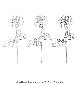 Satz von durchgezogener Linienzeichnung mit Rose. Schwarz-weiße Blumensträuße. Blumen-Malvorlage. Blumen Linie Art. Feine Linie Lilien Illustration. Handgezeichnete Blumen. Botanische Färbung. Hochzeitseinladung f