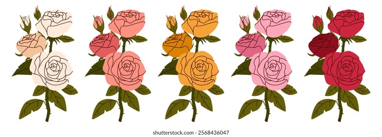 Set of rose flower, rose bud, clip art vector illustration. White rose, pink, red, yellow , Maroon rose. Flower bouquet for valentine's Day on 14 February. Wallpaper, flyer, poster, sticker, banner,AD