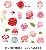 Set of rose flower design elements 