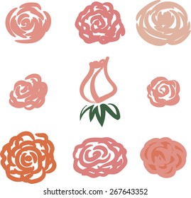 Set of rose flower design elements