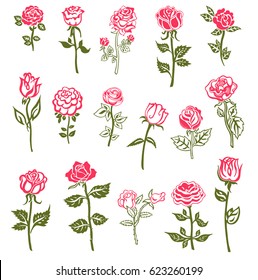 Set of rose flower design elements