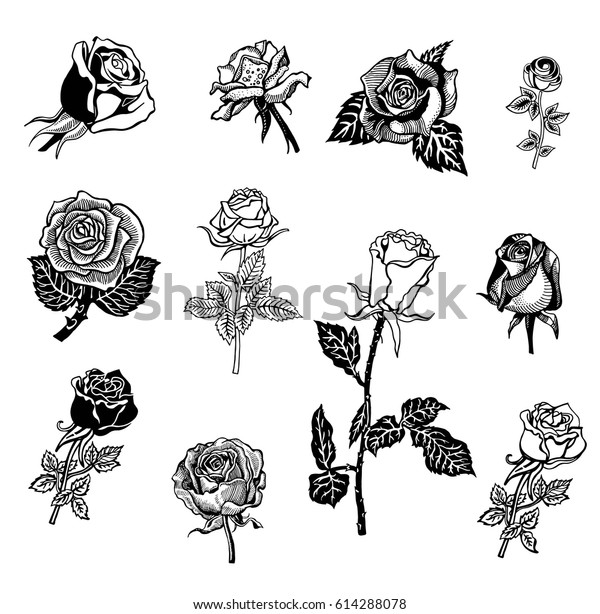 Set Rose Flower Design Elements Detailed Stock Vector (Royalty Free ...