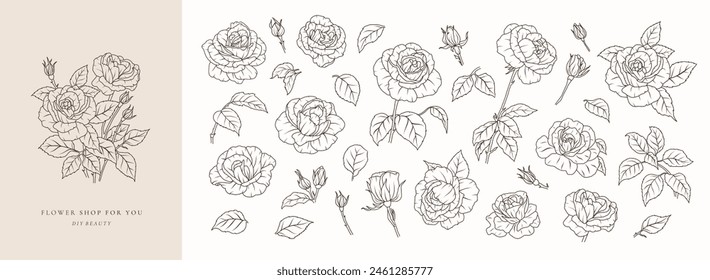 Set of rose flower greenery leaves line art isolated. Spring floral garden roses black logo wreath sketch plant. Vector illustration botanical stem, green leaves, floral bloom