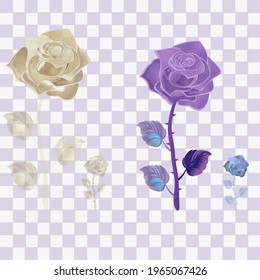 Set rose flower isolated with gold  and purple color