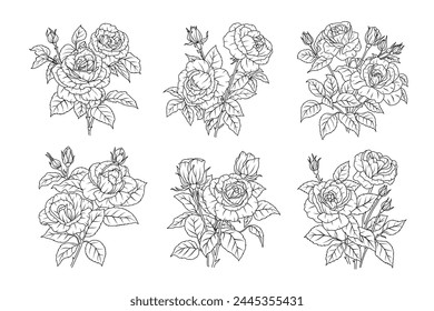 Conjunto de arte de línea de flor de rosa. Ramos de contorno de boceto negro floral. Rosa con hojas simple planta botánica. Ilustración vectorial para el diseño del tatuaje, páginas para colorear para los niños, invitación de boda